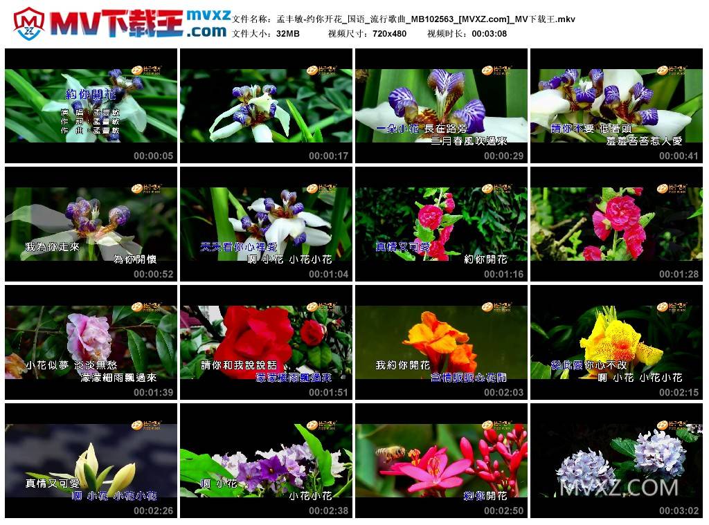 孟丰敏-约你开花_国语_流行歌曲_MB102563